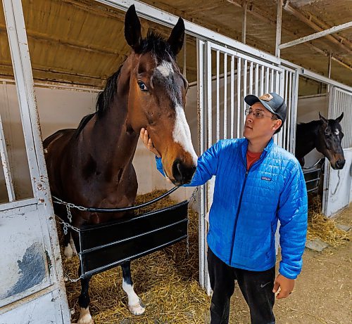 MIKE DEAL / FREE PRESS
The leading trainer at Assiniboia Downs, Steve Keplin, Jr. with horse, Exacting, Friday morning.
Reporter: George Williams
250516 - Friday, May 16, 2025.