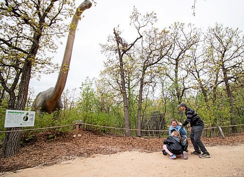 BROOK JONES/FREE PRESS
The Assiniboine Park Zoo has launched Dinosaurs UnCovered which is a seasonal exhibit featuring 17 life-size dinosaur replicas along a forested trail at the Assiniboine Park Zoo in Winnipeg, Man. Pictured: Red Lake, Man., residents Devon Harding and his daughter Lily Harding and his partner Melinda Leclair and their daughter Evelyn Harding check out a replica Giganotosaurus which is an extinct genus of carcharodontosaurid theropod dinosaur that lived in Argentina during the Late Cretaceous period. Davon, Melinda, Lily and Evelyn visited the exhibit on Sunday, May 18, 2025.