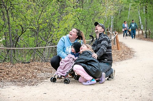 BROOK JONES/FREE PRESS
The Assiniboine Park Zoo has launched Dinosaurs UnCovered which is a seasonal exhibit featuring 17 life-size dinosaur replicas along a forested trail at the Assiniboine Park Zoo in Winnipeg, Man. Pictured: Red Lake, Ont., residents Devon Harding and his daughter Lily Harding and his partner Melinda Leclair and their daughter Evelyn Harding check out a replica Giganotosaurus which is an extinct genus of carcharodontosaurid theropod dinosaur that lived in Argentina during the Late Cretaceous period. Davon, Melinda, Lily and Evelyn visited the exhibit on Sunday, May 18, 2025.