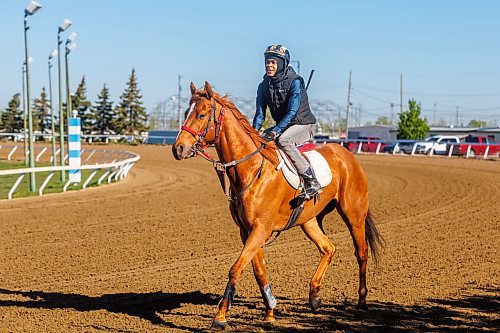 MIKE DEAL / FREE PRESS
Rachaad Knights, currently the leading jockey at Assiniboia Downs, takes J L Copper for a morning run on the main track Thursday.
Reporter: George Williams
250522 - Thursday, May 22, 2025.