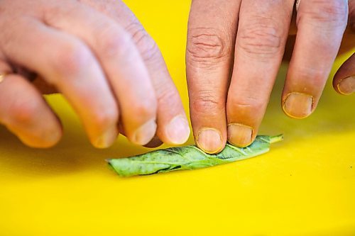 MIKAELA MACKENZIE / FREE PRESS
Terry Gereta demonstrates knife skills at RRC Polytech on Monday, May 12, 2025.
For Eva story.
Winnipeg Free Press 2025