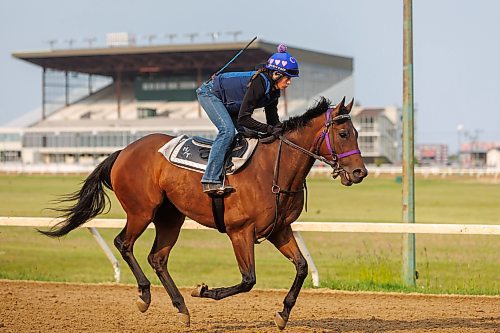 MIKE DEAL / FREE PRESS
Jockey Ciera Pruitt takes, Peso, for a gallop during Friday morning training at the Assiniboia Downs.
Reporter: George Williams
250530 - Friday, May 30, 2025.