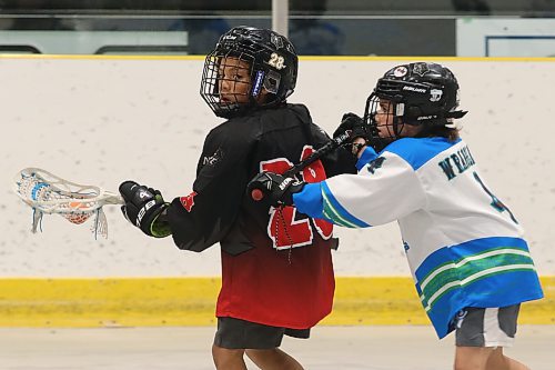 Neepawa Noize and Wheat City Wranglers U11 action from Rivers on Saturday afternoon. (Matt Packwood/The Brandon Sun) May 31, 2025