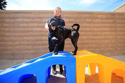 Ruth Bonneville  / Free Press 

Local - Animal services 

Animal Services Kennel Assistant Gillian Lecuyer takes Sebastian a two-year-old American Bull Dog mix over one of their enrichment structures in their park at Animal Services Friday.

See story on their sensory gardens

June 20th,  2025

 