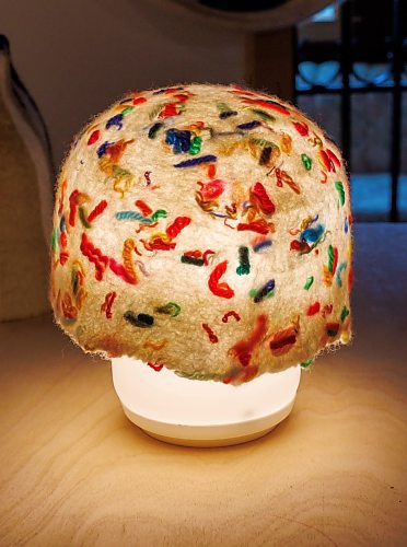 MIKE DEAL / FREE PRESS
A Light Cap which is designed to go over an little IKEA lamp.
Christie Peters of Margaret Jane Design in her studio.
Christie Peters makes felted flowers and felted vases as well as wall hanging pieces.
Reporter: AV Kitching
250625 - Wednesday, June 25, 2025.