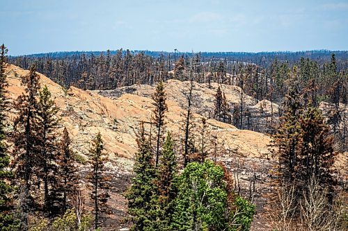 MIKAELA MACKENZIE / FREE PRESS
	
Burned areas just north of Flin Flon on Wednesday, June 25, 2025.

For Nicole Buffie story.
Winnipeg Free Press 2025