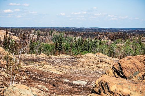 MIKAELA MACKENZIE / FREE PRESS
Burned areas just north of Flin Flon on Wednesday, June 25, 2025.
For Nicole Buffie story.
Winnipeg Free Press 2025