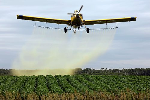26062025
An aerial sprayer flies low over a crop of potatoes east of Brandon applying fungicide on an overcast Thursday morning. 
(Tim Smith/The Brandon Sun)
