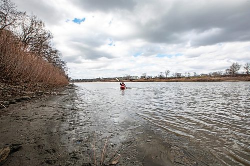 MIKAELA MACKENZIE / FREE PRESS
Dave Taylor kayaks on the Red River on Thursday, May 1, 2025. Dave Taylor is a local teacher who has written several op-eds drawing attention to sewers and pollution issues in the city.
For JS story.
Winnipeg Free Press 2025