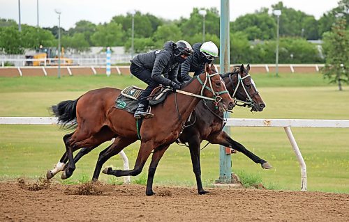 George Williams / Free Press
Jockeys Antonio Whitehall (right) and Damrio Bynoe working a pair of two-year-olds for trainer Mike Nault at the Downs on Friday morning.
