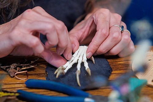 MIKE DEAL / FREE PRESS
Randi glues together a fox claw for one of her works of art.
Randi Thomson creates entomological art, using preserved bugs and insects and native grasses and plants to make her bug landscapes. She mounts the flora and fauna in cloches, bell jars and vintage receptacles. Her garden in Stonewall, MB, is full of bones, gifted to her by family, friends and neighbours.
Reporter: AV Kitching
250707 - Monday, July 07, 2025.