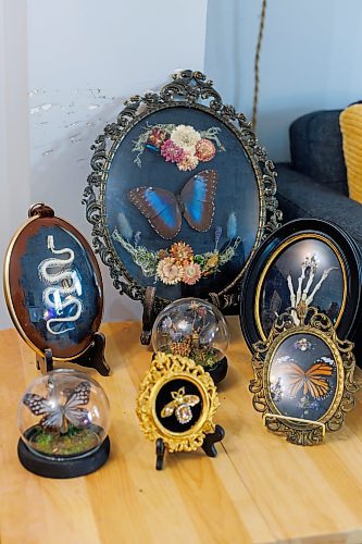 MIKE DEAL / FREE PRESS
Randi Thomson creates entomological art, using preserved bugs and insects and native grasses and plants to make her bug landscapes. She mounts the flora and fauna in cloches, bell jars and vintage receptacles. Her garden in Stonewall, MB, is full of bones, gifted to her by family, friends and neighbours.
Reporter: AV Kitching
250707 - Monday, July 07, 2025.