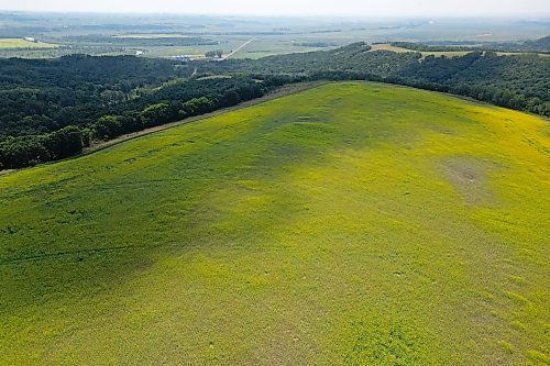08072025
Canola and Corn grow south of Rivers, Manitoba overlooking the Assiniboine River valley on Tuesday.
(Tim Smith/The Brandon Sun)