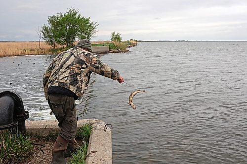 Mike Ketcheson of Brandon releases a northern pike back into Oak Lake while fishing at the lake’s outlet dam. (Tim Smith/The Brandon Sun files)