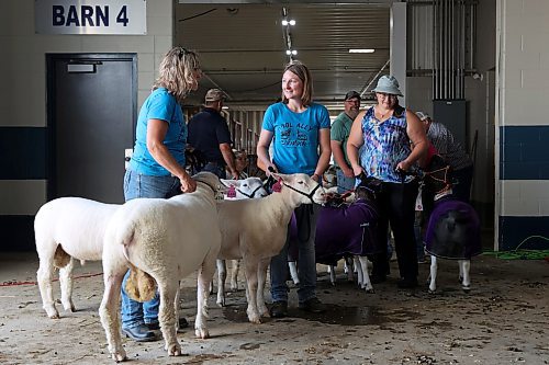 Annette Mignault and Alyssa Boles of Cool Ally Livestock in Tompkins, Sask., wait to have their Ile de France sheep checked by a veterinarian so they can take part in the show. (Tim Smith/The Brandon Sun)