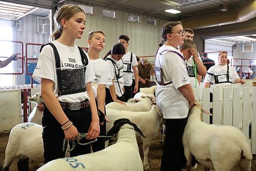 10072025
Kids wait to bring their sheep into the ring to show them during the 2025 All Canada Sheep Classic at the Keystone Centre in Brandon on Thursday. Sheep producers from across the country are in Brandon for the show, which runs until Sunday. 
(Tim Smith/The Brandon Sun)
