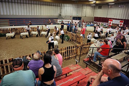 10072025
Kids show their sheep and wait judging during the 2025 All Canada Sheep Classic at the Keystone Centre in Brandon on Thursday. Sheep producers from across the country are in Brandon for the show, which runs until Sunday.
(Tim Smith/The Brandon Sun)