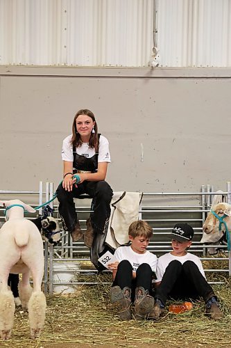 10072025
Friends Kerri Walker and Brexton Beaudoin of Moosomin, Saskatchewan, and Brayden Bell of Stayner, Ontario hang out between showing their sheep during the 2025 All Canada Sheep Classic at the Keystone Centre in Brandon on Thursday. Sheep producers from across the country are in Brandon for the show, which runs until Sunday. 
(Tim Smith/The Brandon Sun)