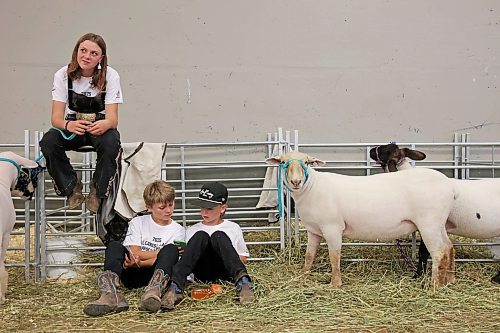 10072025
Friends Kerri Walker and Brexton Beaudoin of Moosomin, Saskatchewan, and Brayden Bell of Stayner, Ontario hang out between showing their sheep during the 2025 All Canada Sheep Classic at the Keystone Centre in Brandon on Thursday. Sheep producers from across the country are in Brandon for the show, which runs until Sunday. 
(Tim Smith/The Brandon Sun)