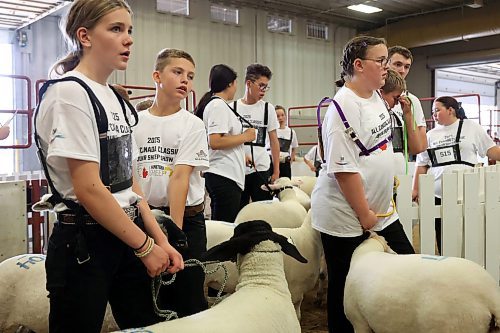 10072025
Kids wait to bring their sheep into the ring to show them during the 2025 All Canada Sheep Classic at the Keystone Centre in Brandon on Thursday. Sheep producers from across the country are in Brandon for the show, which runs until Sunday.
(Tim Smith/The Brandon Sun)