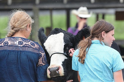 A calf is held in place by two young women while a judge in the cowboy hat speaks to the crowd. (Matt Goerzen/The Brandon Sun)