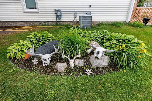 MIKE DEAL / FREE PRESS
Randi Thomson creates entomological art, using preserved bugs and insects and native grasses and plants to make her bug landscapes. She mounts the flora and fauna in cloches, bell jars and vintage receptacles. Her garden in Stonewall, MB, is full of bones, gifted to her by family, friends and neighbours.
Reporter: AV Kitching
250707 - Monday, July 07, 2025.