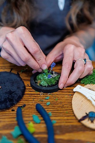 MIKE DEAL / FREE PRESS
Randi adds bits of flora and fauna to one of her pieces.
Randi Thomson creates entomological art, using preserved bugs and insects and native grasses and plants to make her bug landscapes. She mounts the flora and fauna in cloches, bell jars and vintage receptacles. Her garden in Stonewall, MB, is full of bones, gifted to her by family, friends and neighbours.
Reporter: AV Kitching
250707 - Monday, July 07, 2025.