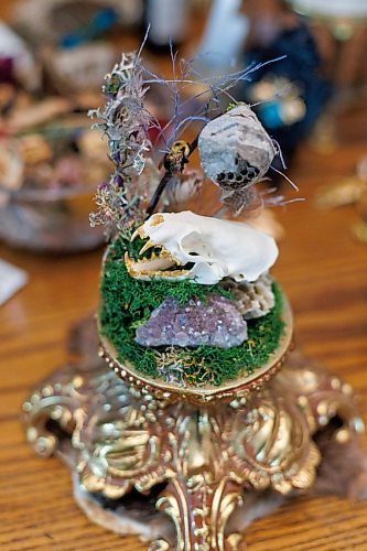 MIKE DEAL / FREE PRESS
A Mink skull is the centre piece for one of Randi’s works or art.
Randi Thomson creates entomological art, using preserved bugs and insects and native grasses and plants to make her bug landscapes. She mounts the flora and fauna in cloches, bell jars and vintage receptacles. Her garden in Stonewall, MB, is full of bones, gifted to her by family, friends and neighbours.
Reporter: AV Kitching
250707 - Monday, July 07, 2025.