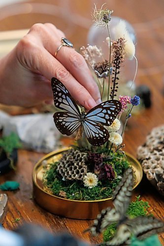 MIKE DEAL / FREE PRESS
Randi puts a Parantica Aglea, commonly known as the glassy tiger, into one of her works of art.
Randi Thomson creates entomological art, using preserved bugs and insects and native grasses and plants to make her bug landscapes. She mounts the flora and fauna in cloches, bell jars and vintage receptacles. Her garden in Stonewall, MB, is full of bones, gifted to her by family, friends and neighbours.
Reporter: AV Kitching
250707 - Monday, July 07, 2025.