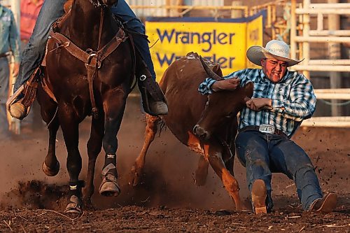 24072025
Tate Beierbach of Maple Creek, Sk digs his heels into the dirt to bring down a steer during the steer wrestling event at the opening go round of the Manitoba Threshermen’s Reunion &amp; Stampede rodeo at Austin, Manitoba on Thursday evening. 
(Tim Smith/The Brandon Sun)