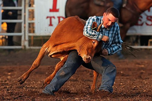 24072025
Tate Beierbach of Maple Creek, Sk works to wrestle a steer to the ground during the steer wrestling event at the opening go round of the Manitoba Threshermen’s Reunion &amp; Stampede rodeo at Austin, Manitoba on Thursday evening. 
(Tim Smith/The Brandon Sun)