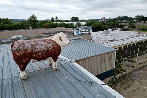 The recently closed Heartland Livestock Services Brandon auction mart on 12th Street North. (Tim Smith/The Brandon Sun)