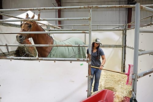 05082025
London Collins with Copple Show Horses out of Washington, cleans a stall for one of their Arabians at the Keystone Centre on Tuesday, ahead of the Arabian National Championship horse show, which runs from August 7-16. Collins works for Copple Show Horses and also competes in the western pleasure class.
(Tim Smith/The Brandon Sun)