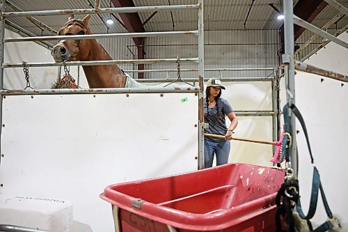 05082025
London Collins with Copple Show Horses out of Washington, cleans a stall for one of their Arabians at the Keystone Centre on Tuesday, ahead of the Arabian National Championship horse show, which runs from August 7-16. Collins works for Copple Show Horses and also competes in the western pleasure class.
(Tim Smith/The Brandon Sun)