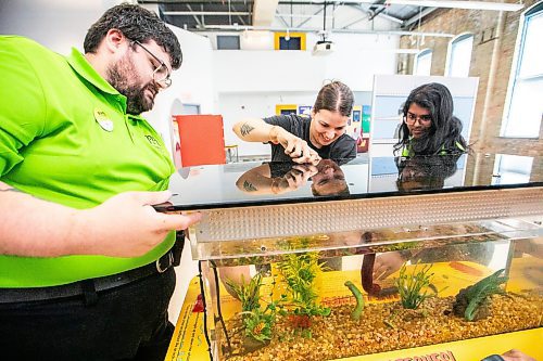 MIKAELA MACKENZIE / FREE PRESS
	
Brady Kidd, program coordinator (left), Brittany McIntosh, director of education and exhibits, and Suprova Huckaby, education coordinator, feed the leeches a blood sausage at The Childrenճ Museum on Thursday, Aug. 7, 2025. The summer exhibit, Attack Of The Bloodsuckers, examines the what, why, when, and how of mosquitoes, fleas, ticks, leeches, and other parasites. Leeches can go months without food in the wild, but get fed about every three weeks in their tank at the museum.

Standup.
Winnipeg Free Press 2025