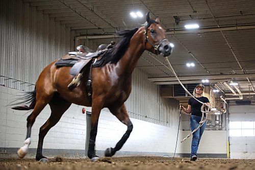 05082025
A trainer with Graycyn Farms works on lunging a horse during the first day of the Arabian National Championship horse show on Thursday. (Tim Smith/The Brandon Sun files)