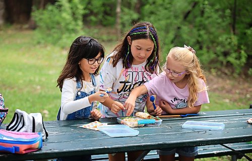 Ruth Bonneville / Free Press
ENT - Lunchbox Chopped
Photo of kids taste testing the lunches.
Dark brown hair,, overalls, glasses Faith, 9
Child with colourful braids: Aria, 10
Blonde child with glasses: Paislee, 8
Photos for a feature on 3 local chefs presenting their lunchbox for 3 children to taste test and judge. The kids and chefs met at a picnic table at Assiniboine Park for the lunchbox taste-testing event.
Names Children taste testing in photos. (First names only)
Blonde child with glasses: Paislee, 8
Dark brown hair,, overalls, glasses Faith, 9
Child with colourful braids: Aria, 10
Names of Chefs + lunches:
1. Sophie Fiola (white apron) - Chicken, bean and corn taquitos with salsa and guacamole, served with a side of carrots and sweet peas, with a horchata-inspired rice pudding for dessert
2. Sharron Park - red lentil buns and WAITING ON THE SOUP DETAILS with seasonal fruit crumble
3. Elisa de Jesus – she was not at the shoot but she made a lunch which was red lentil fritters with quinoa salad and oatmeal raisin cookies
The story is for Weds 27 August.
See AV Kitching for more info and story
Aug 11th, 2025