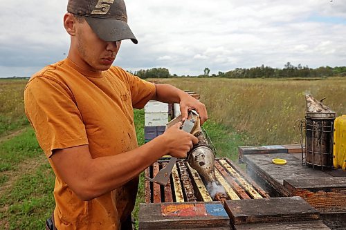Richard Gradwell uses a smoker to calm honey bees. (Tim Smith/The Brandon Sun)