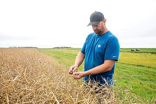 MIKAELA MACKENZIE / FREE PRESS
Dustin Wiens, a grain farmer south of La Salle, in his canola field by the road closure of Floodway Road on Monday, Aug. 25, 2025. The road, which is closed now through to October, will impact the way that he transports his harvest from the fields.
For Aaron story.
Free Press 2025