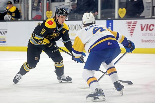 Brandon Wheat Kings forward Caleb Hadland looks to move around Brayden Klimpke of the Blades in February. Hadland exploded for 25 goals last season. (Tim Smith/The Brandon Sun)