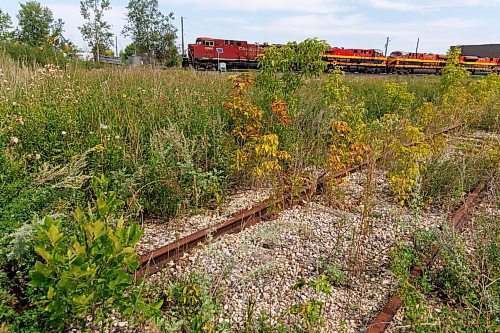 MIKE DEAL / FREE PRESS
A stretch of unused and abandoned rail that runs alongside an active rail line at the end of Ada Street north of Logan Avenue.
Former federal cabinet minister Lloyd Axworthy, is recommending that Manitoba should commission a design study to transform an abandoned rail line in Brooklands into an active transportation corridor.
Lloyd Axworthy, is leading a two-year study commissioned by the NDP into the relocation of rail lines and yards that currently occupy high-value property in Winnipeg’s core.
reporter: Ben Waldman
250827 - Wednesday, August 27, 2025.