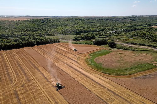 27082025
Combines work a field bordering the Assiniboine River and Little Saskatchewan River west of Brandon on a sunny Wednesday afternoon.
(Tim Smith/The Brandon Sun)
