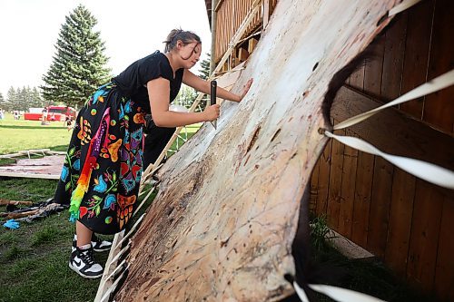 29082025
Lynnianna Swan scrapes a buffalo (bison) hide during a family wellness day full of games, activities, food and entertainment at Sioux Valley Dakota Nation on a hot Friday. The hide was donated by the The Buffalo Culture Collective to be used by Sioux Valley Dakota Nation members. Sioux Valley also harvested one of their own bison for use of the meat and hide as part of the family wellness day.
Tim Smith/The Brandon Sun)