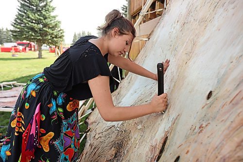 29082025
Lynnianna Swan scrapes a buffalo (bison) hide during a family wellness day full of games, activities, food and entertainment at Sioux Valley Dakota Nation on a hot Friday. The hide was donated by the The Buffalo Culture Collective to be used by Sioux Valley Dakota Nation members. Sioux Valley also harvested one of their own bison for use of the meat and hide as part of the family wellness day.
Tim Smith/The Brandon Sun)