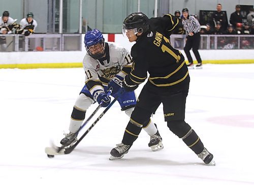 Team White defenceman Cruz Jim (11) tries to tie up Team Black forward Jordan Gavin (11) as the Brandon Wheat Kings closed their training camp with the annual Black and Gold game at J&G Homes Arena on Monday. (Perry Bergson/The Brandon Sun)
Sept. 1, 2025