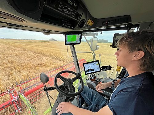 Samuel Gurr, 18, looks out over his father's wheat field northeast of Brandon on Tuesday morning from his vantage point in the cab of one of the family combines. With the harvest season in full swing, Gurr says he has been working every day to help get the crops off. (Matt Goerzen/The Brandon Sun)