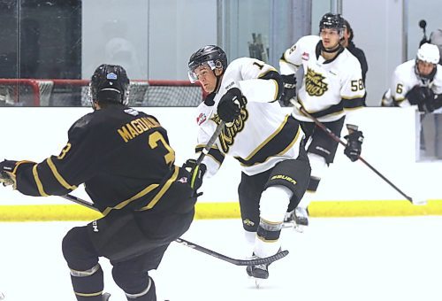 Luke Mistelbacher grimaces as he snaps a shot during the Brandon Wheat Kings' annual Black and Gold game at J&G Homes Arena on Monday. His shot is considered elite and came from many hours at outdoor rinks. (Perry Bergson/The Brandon Sun)
Sept. 4, 2025