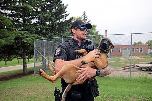 K9 unit officer Adam Philpott flips puppy K9 Merritt upside down as she is let out at training day for BPS K9 units in August. (Connor McDowell/The Brandon Sun)