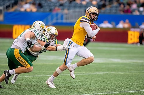 BROOK JONES/FREE PRESS
The University of Manitoba Bisons host the visiting University of Alberta Golden Bears in Canada West football action at Princess Auto Stadium in Winnipeg, Man., Saturday, Sept. 20, 2025. Pictured: Bisons quarterback Jackson Tachinski (No. 4) runs with the football while Golden Bears defensive back Senan Hurley (No. 37) and Golden Bears linebacker Chase Tataryn (No. 24) chase him during second quarter action.