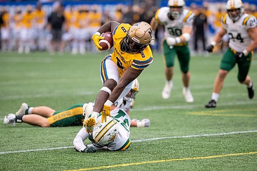 BROOK JONES/FREE PRESS
The University of Manitoba Bisons host the visiting University of Alberta Golden Bears in Canada West football action at Princess Auto Stadium in Winnipeg, Man., Saturday, Sept. 20, 2025. Pictured: Bisons running back Noah Anderson (No. 8) runs over Golden Bears defensive back Senana Hurley (No. 37) while running with the football during second quarter action.